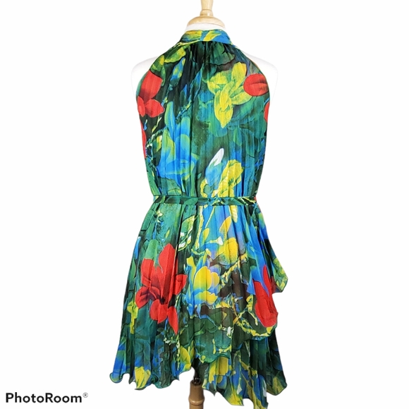 Billion Shield Floral Pleated Dress - Picture 3 of 6